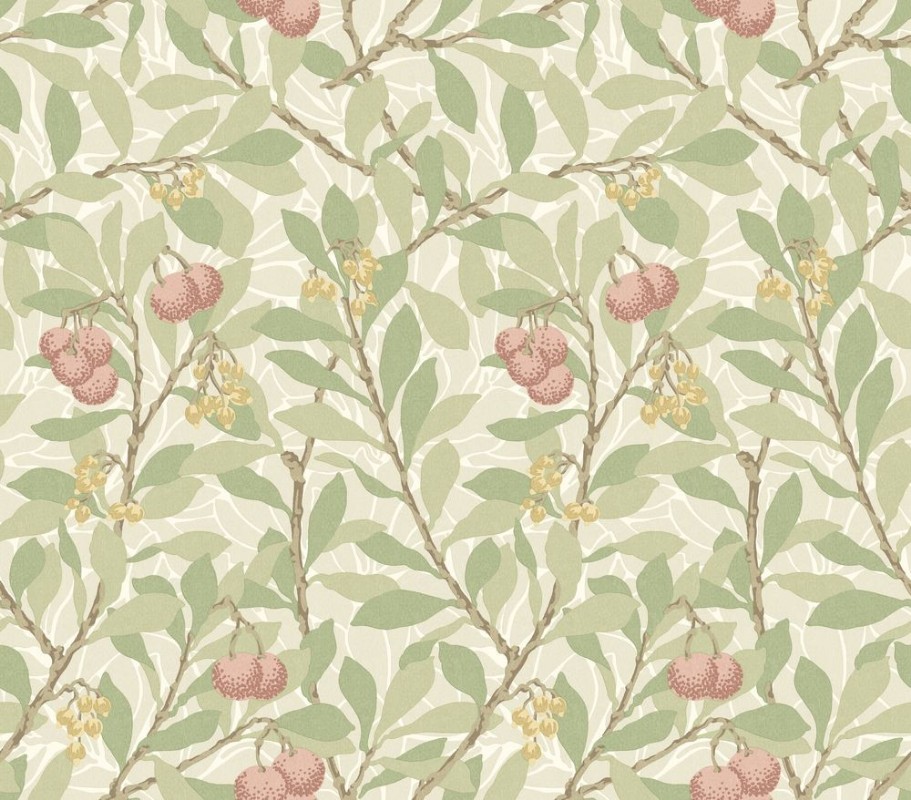 Picture of Arbutus Fennel/Coral - MOX0137-01